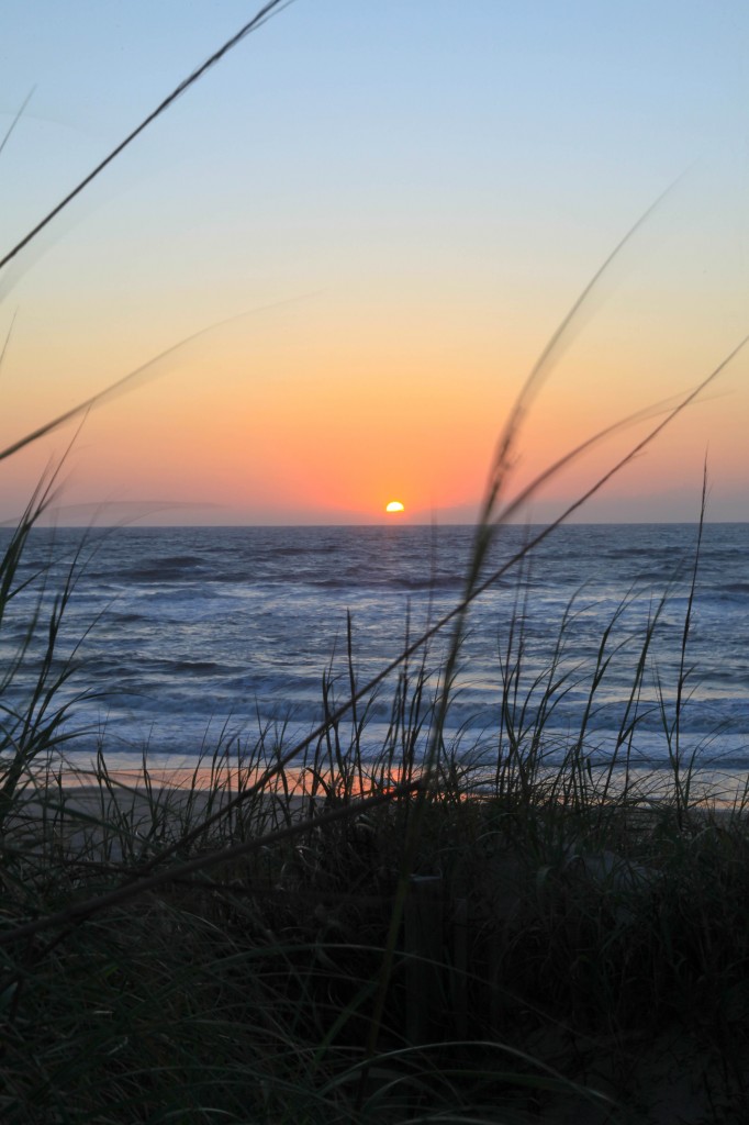 sunrise with the sea grass