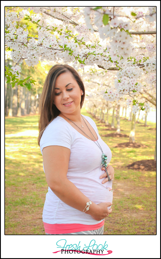 cherry blossom maternity