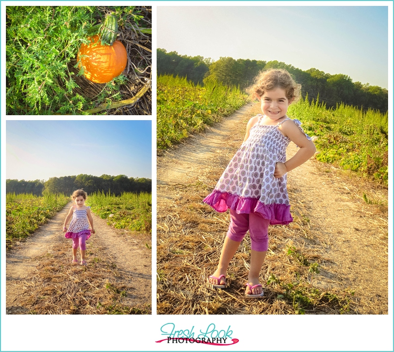 pumpkin patch pictures