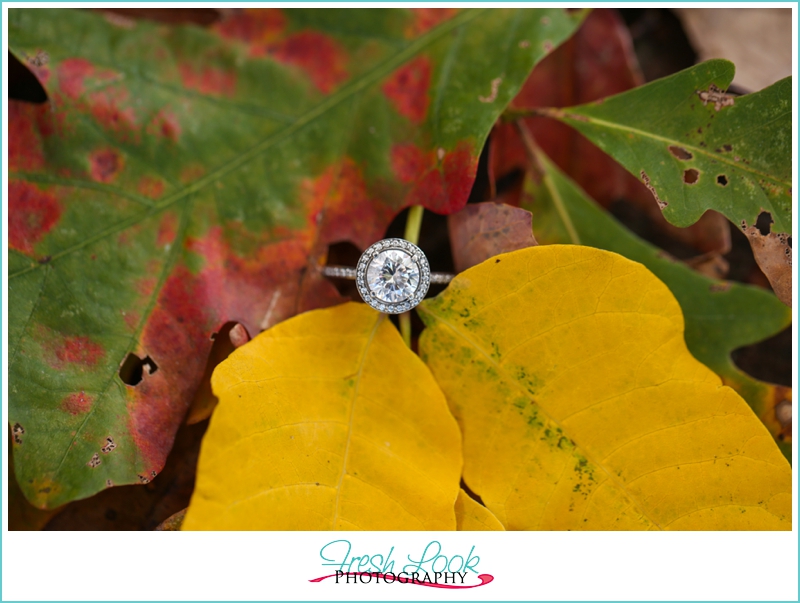 photographer preparing for the holidays, fall