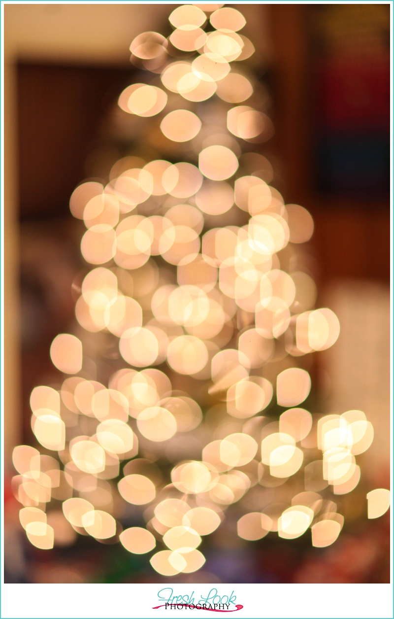 Photographing Christmas Lights