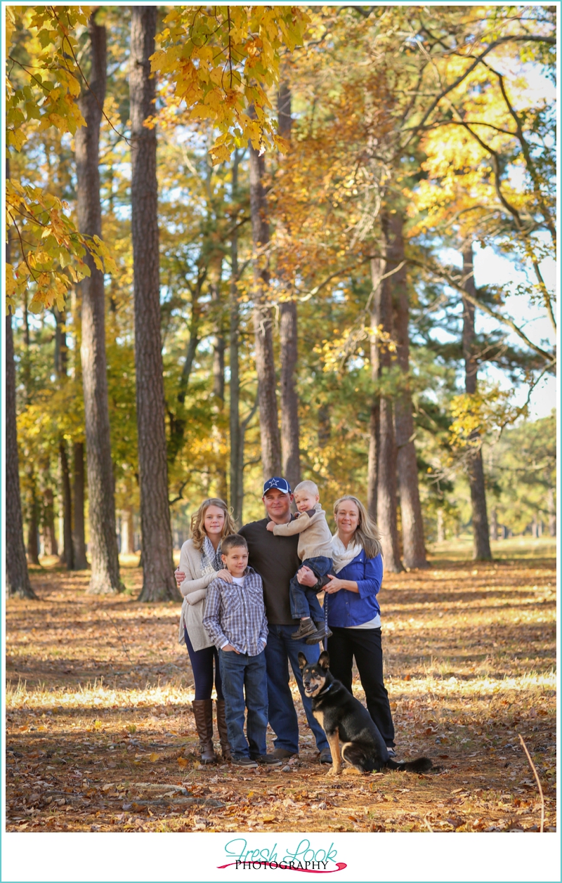 family photos in the leaves
