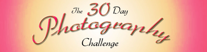 30 day photo challenge