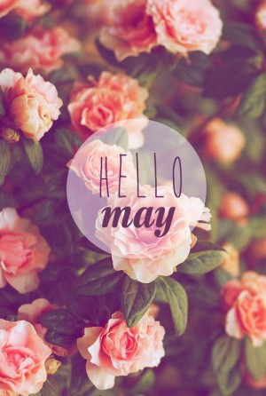 Hello May