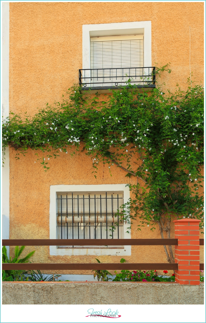 Spanish houses with trees