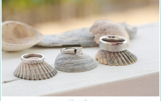 wedding rings and seashells