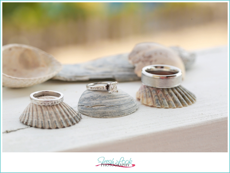 wedding rings and seashells