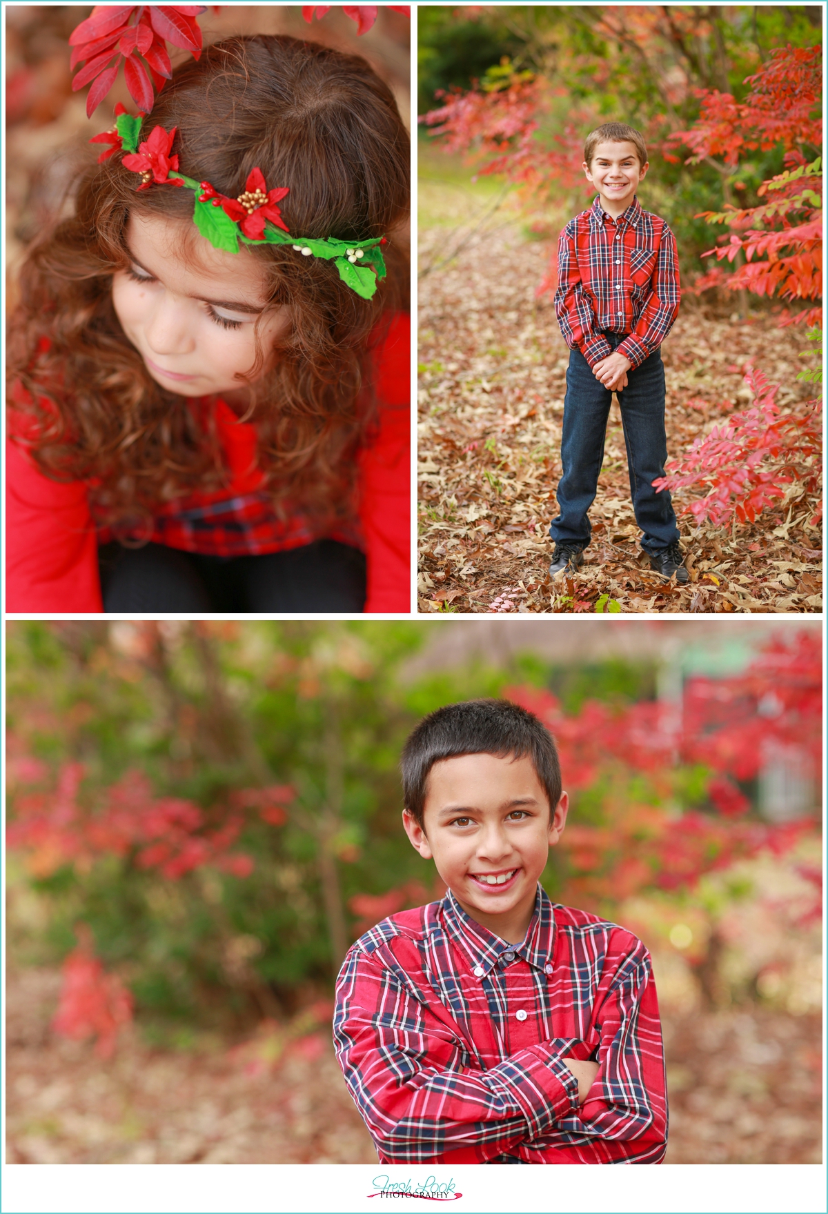 2015 holiday mini sessions