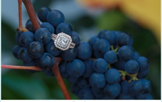 engagement shoot at vineyard