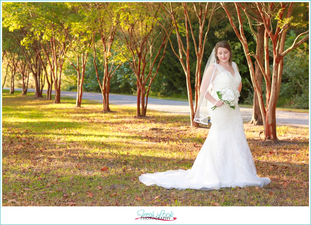 southern bridal shoot