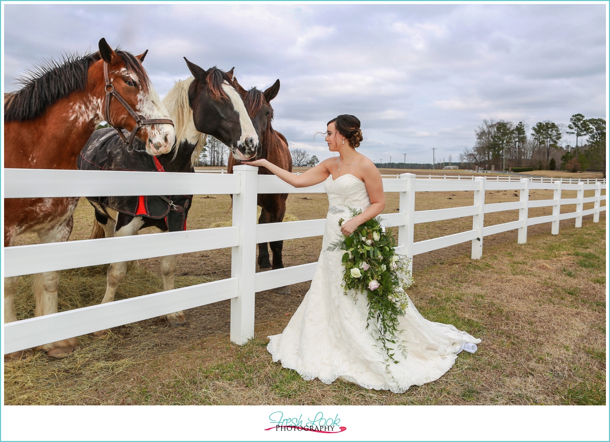 bride out in the field