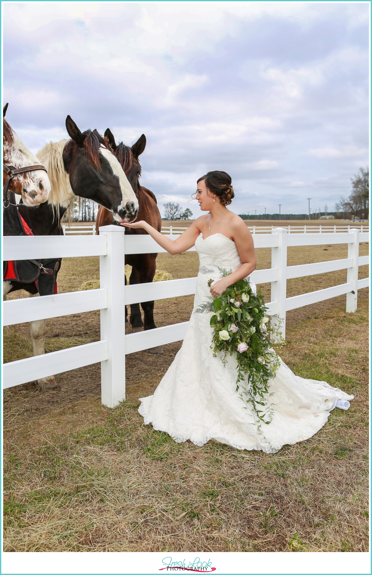 bride with horses