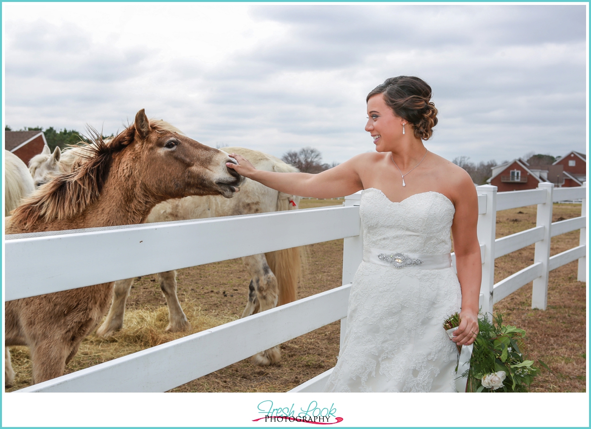 bride in the pasture