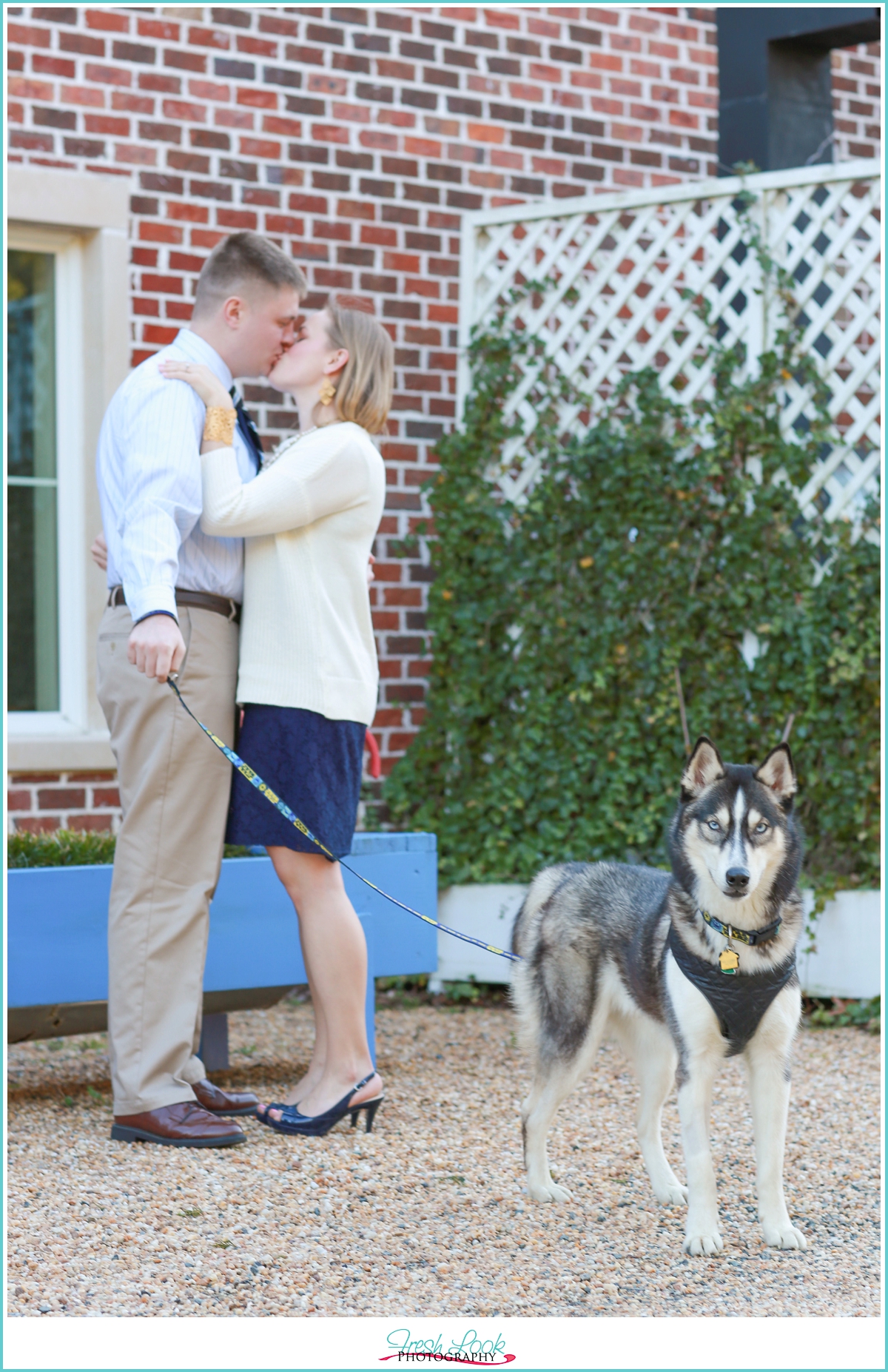 dog at the engagement shoot