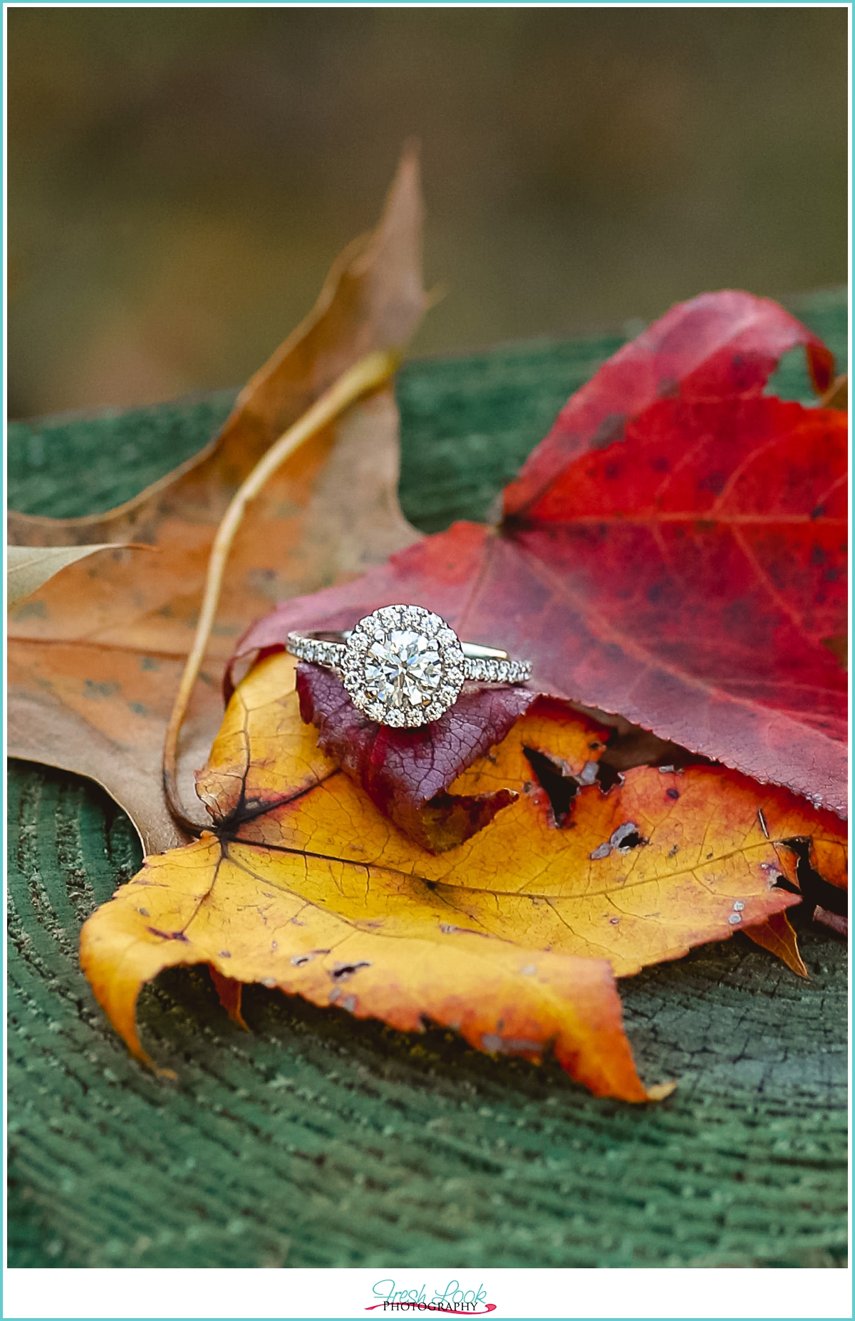 fall themed engagement photo