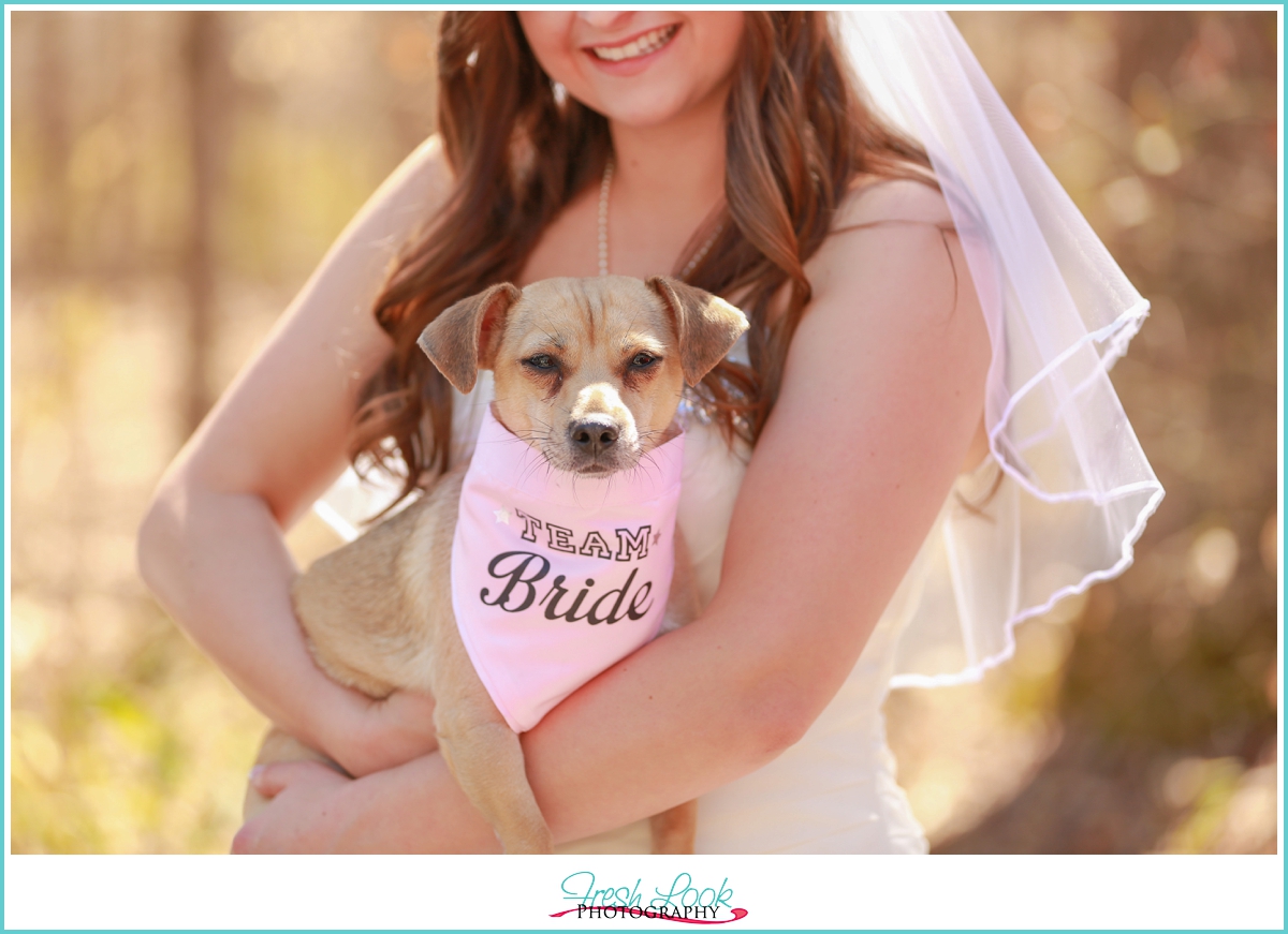 bridal portraits with puppy