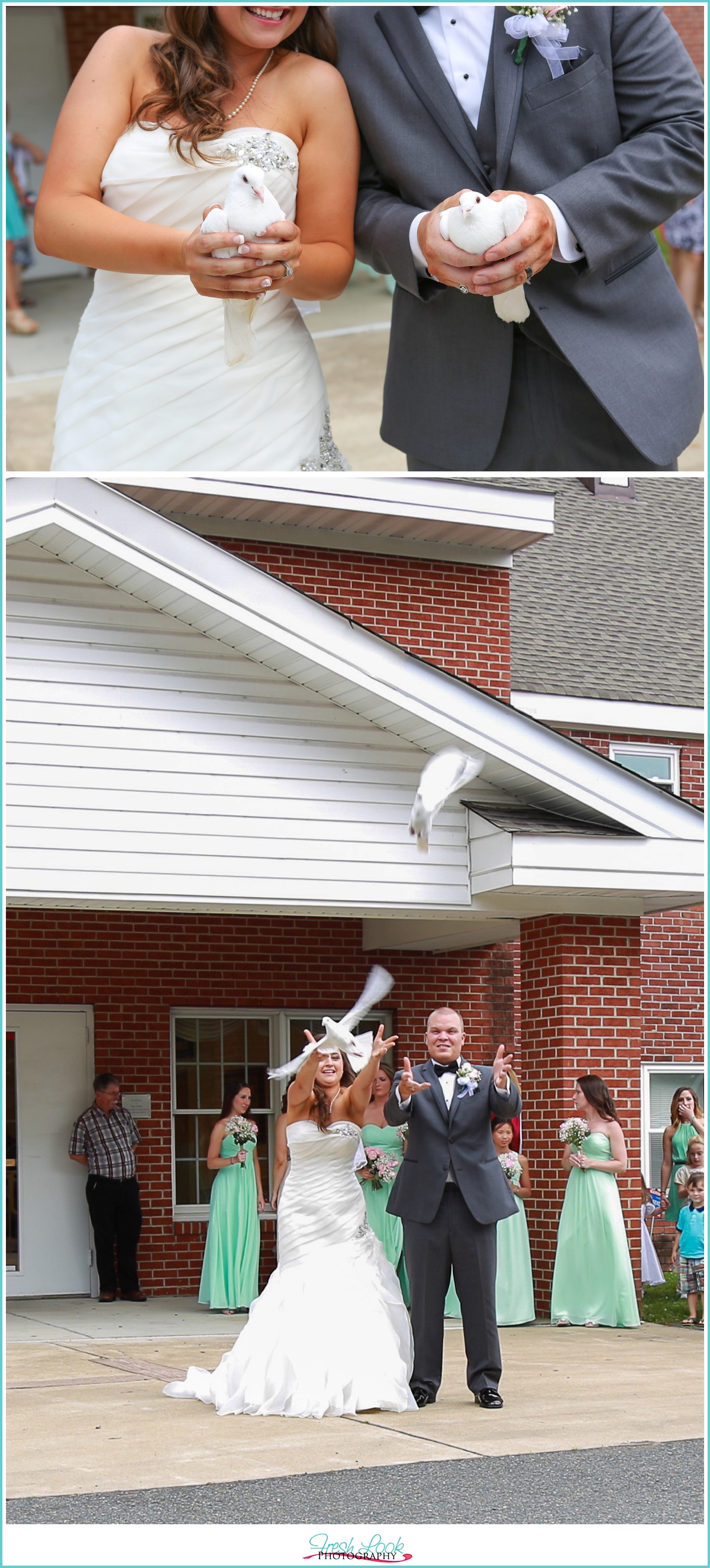 outdoor dove release