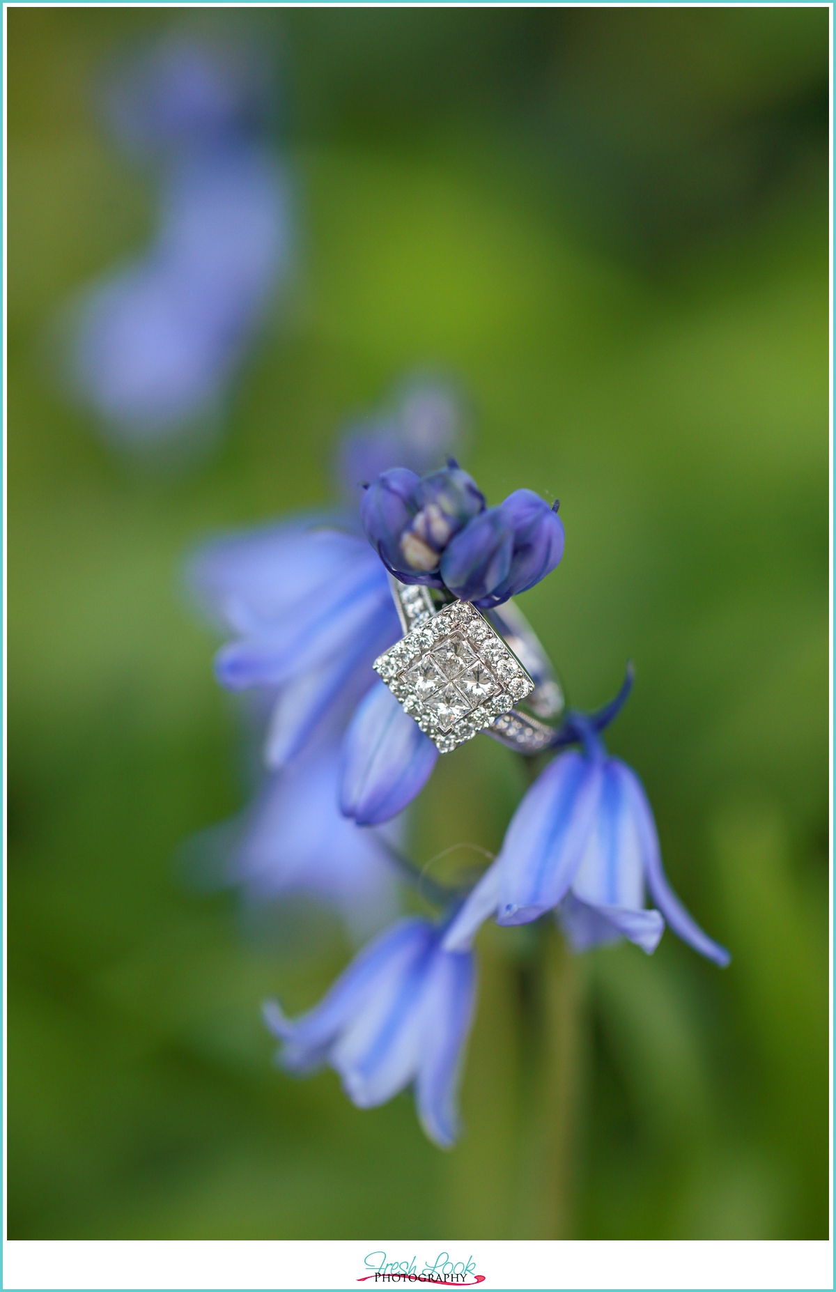 engagement ring detail shot