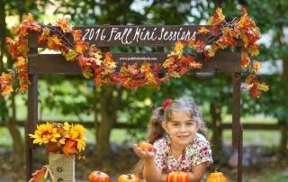 2016 fall mini sessions