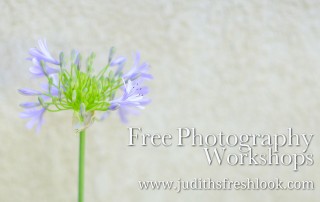 Photography classes and workshops