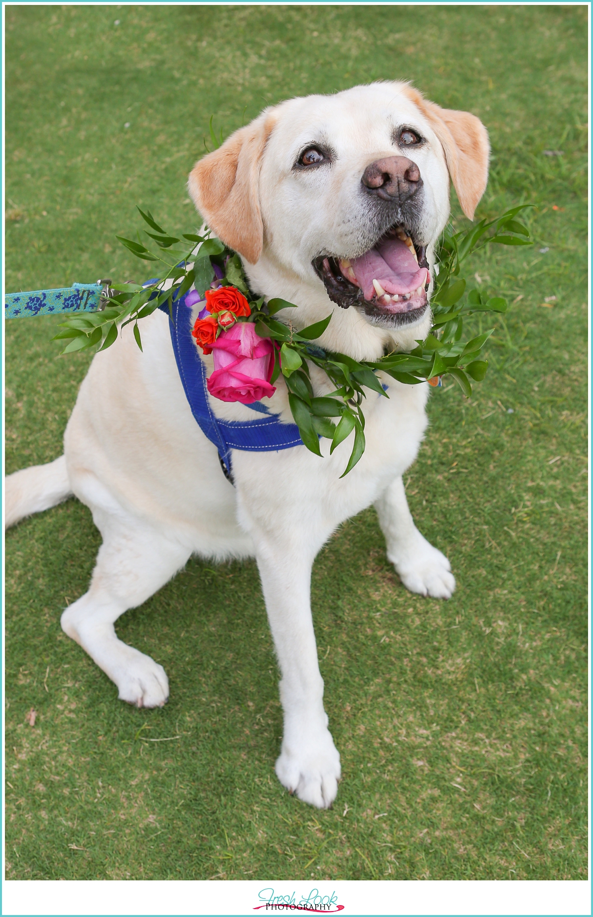 unique ring bearer ideas