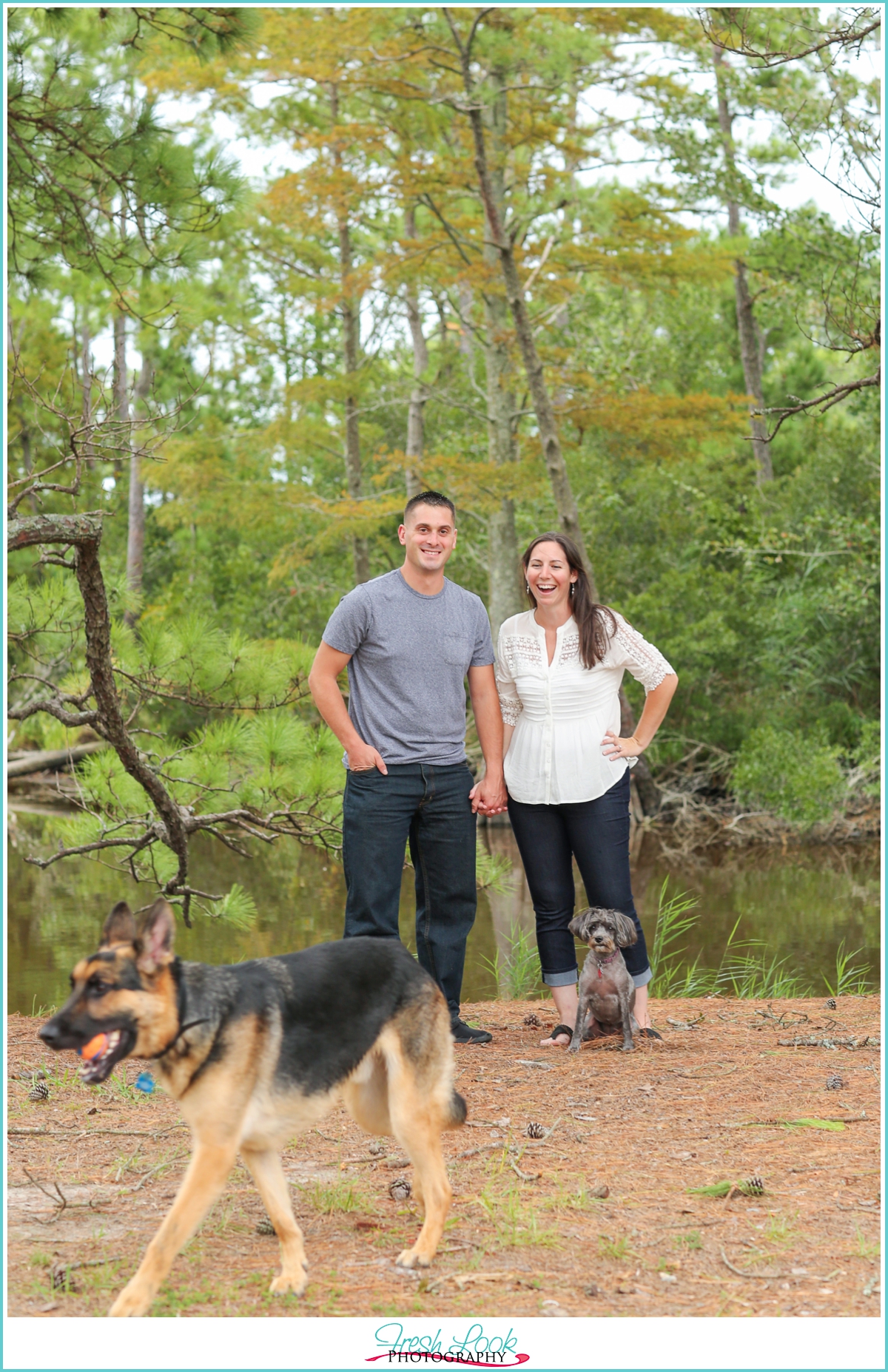 dogs being silly during pictures