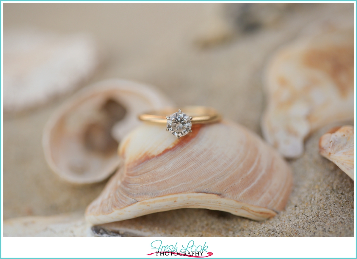 engagement ring and sea shells