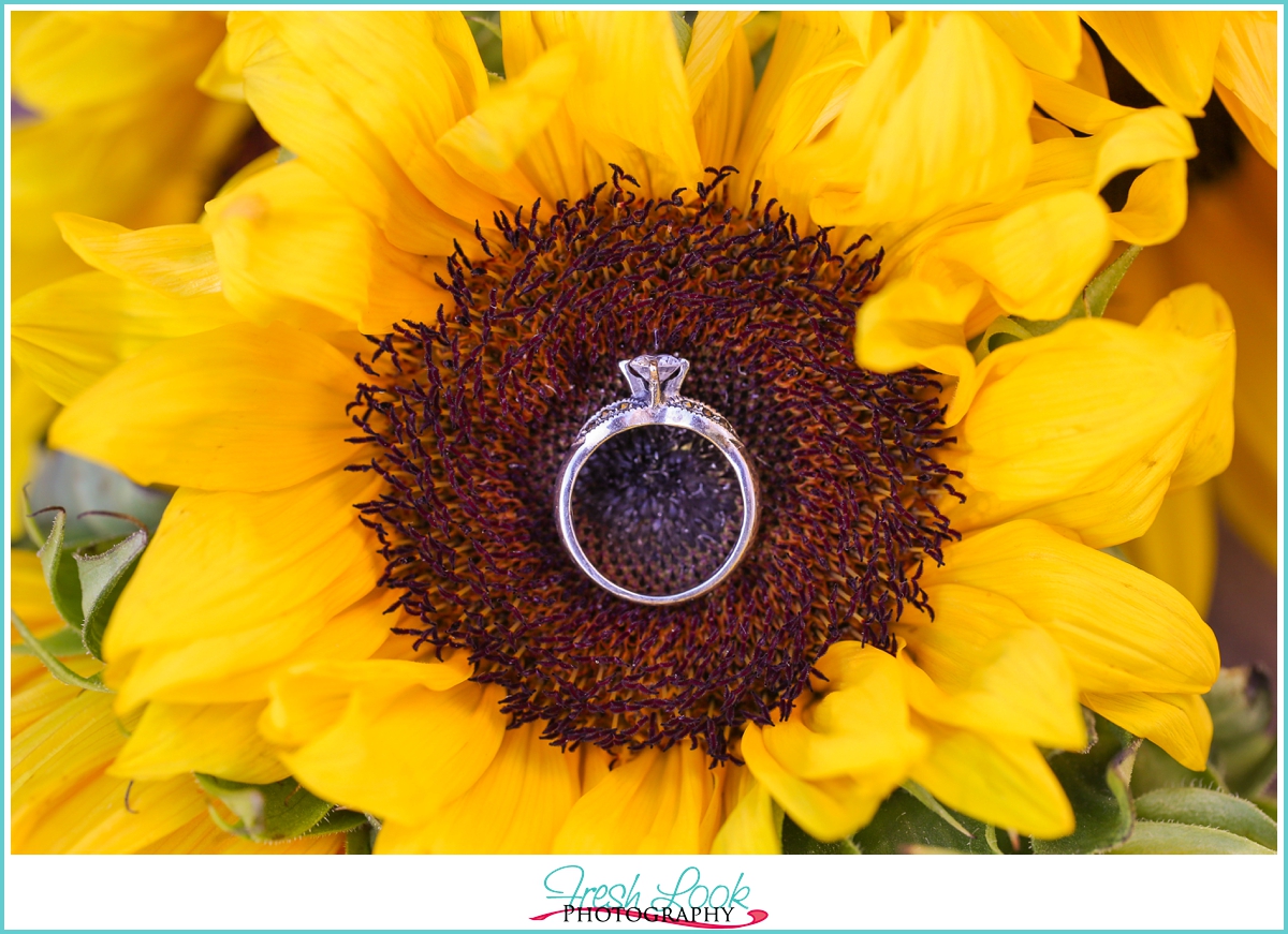 sunflower and engagement ring