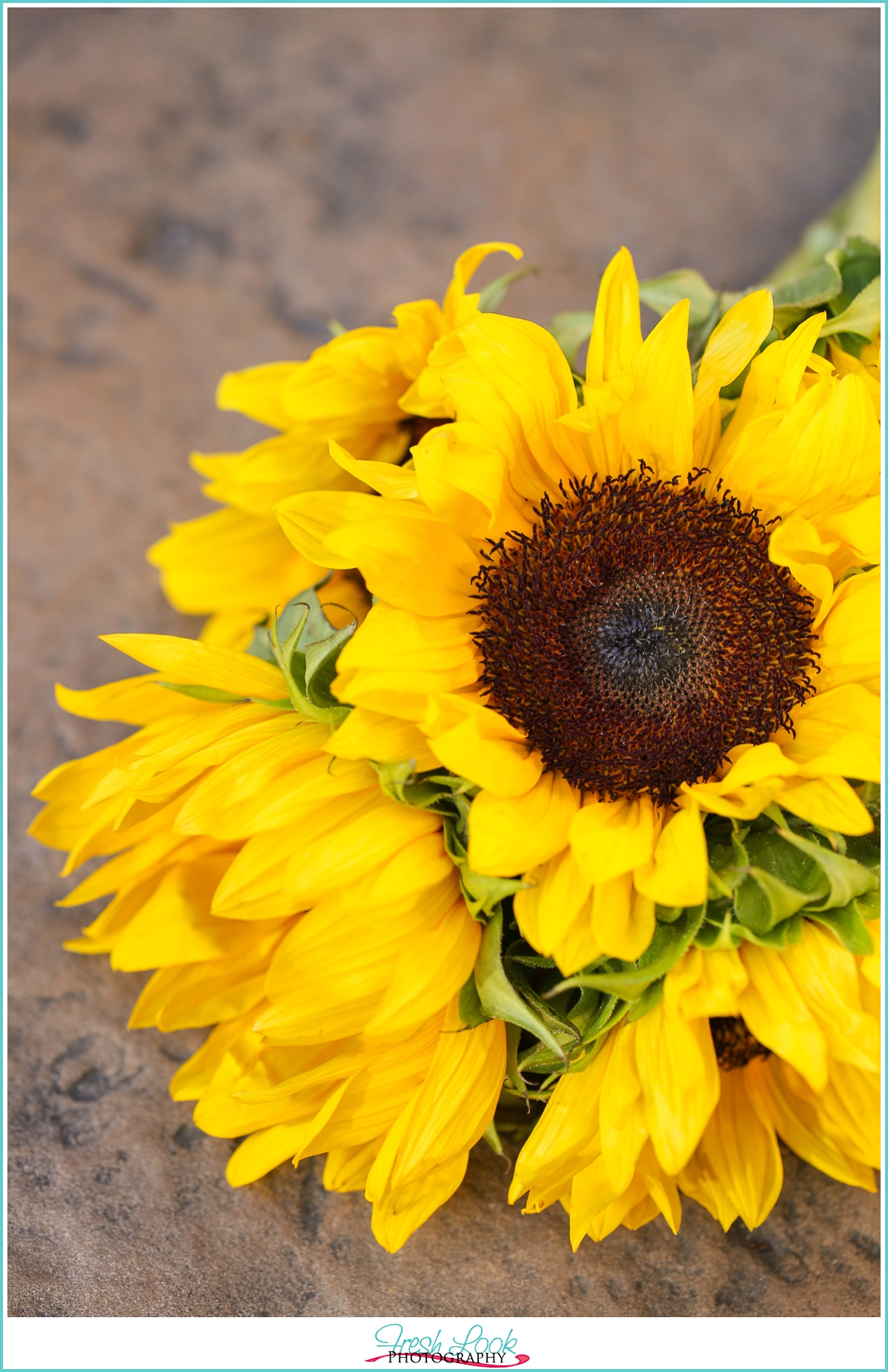 happy flowers