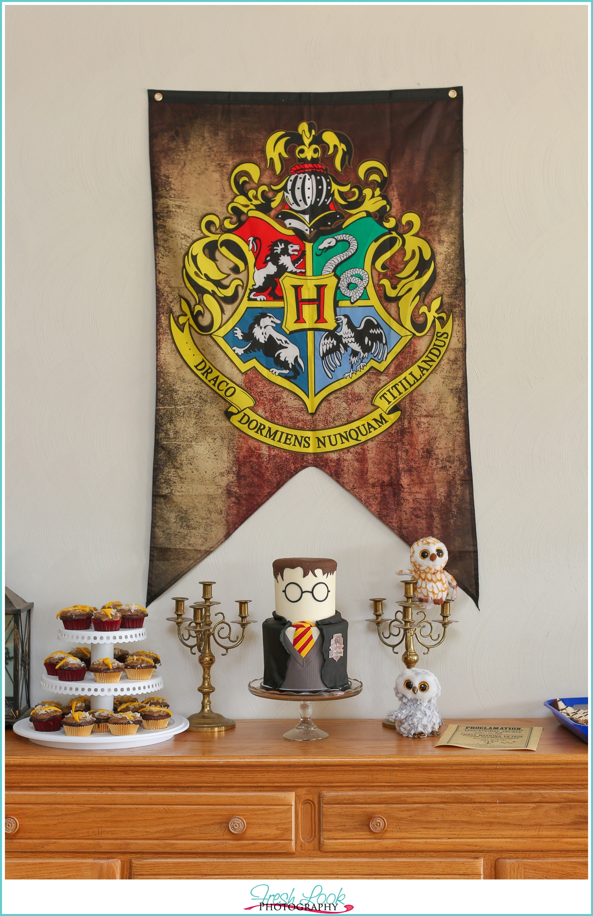 Harry Potter / Birthday Jamie's Wizard-tastic Harry Potter Party, Catch  My Party