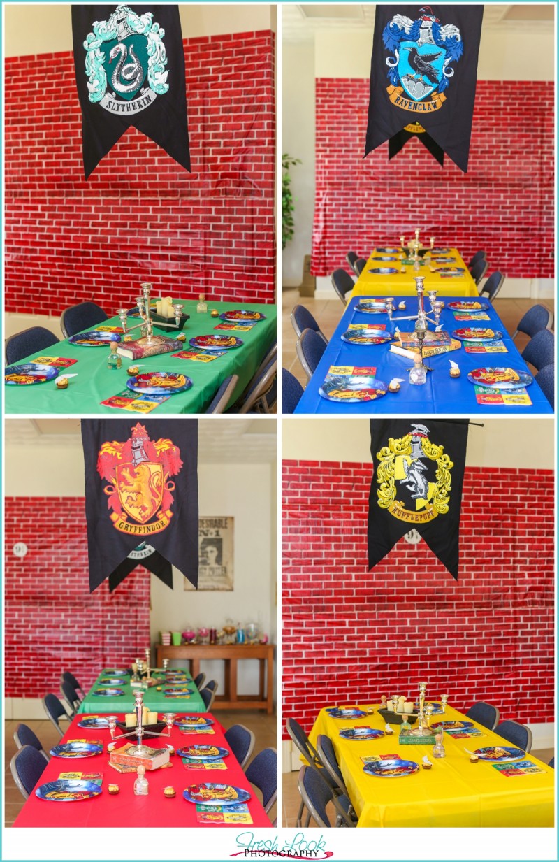 Harry Potter Birthday Party Wesley Turns 12