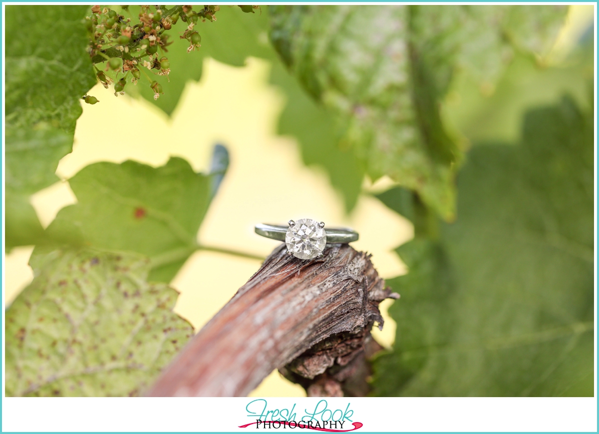 engagement ring on the vines