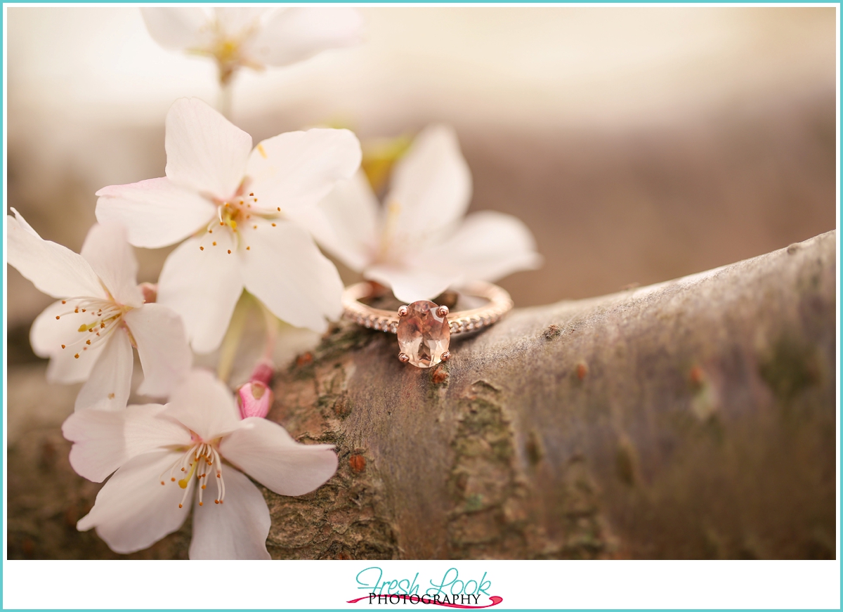 cherry blossoms and engagement ring