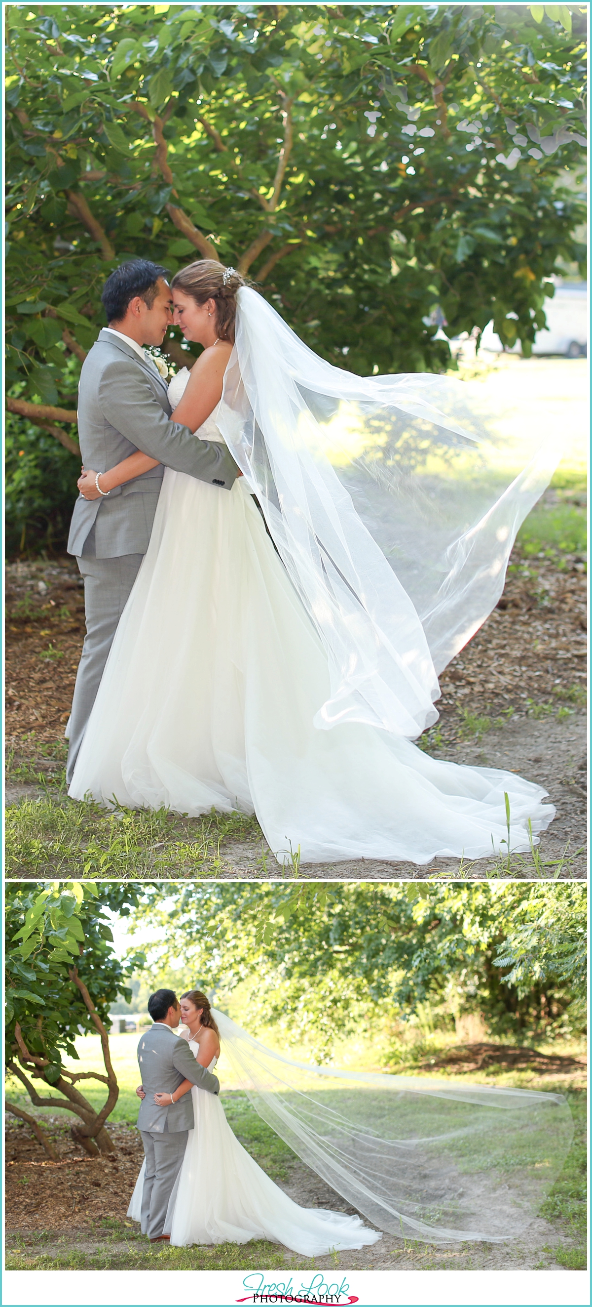 veil blowing in the wind photo