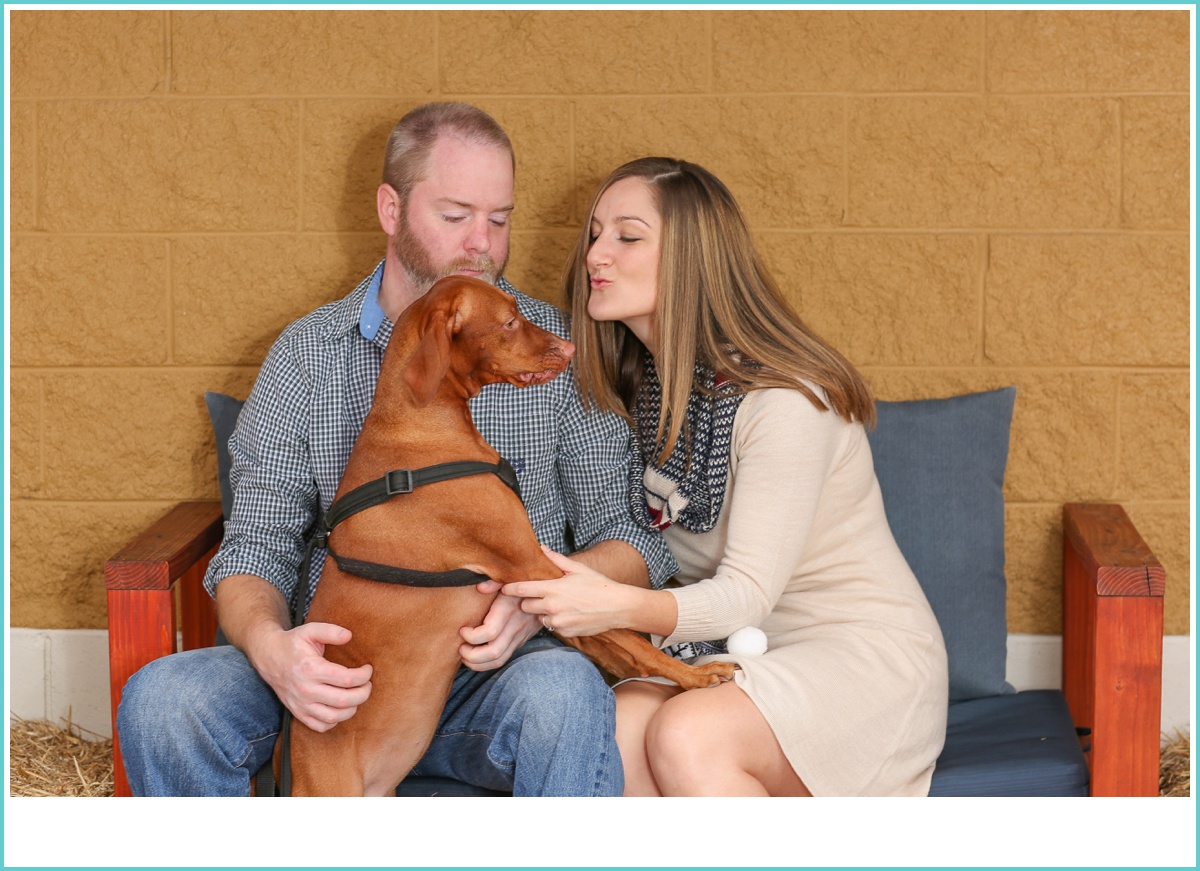 engagement photos with the dog