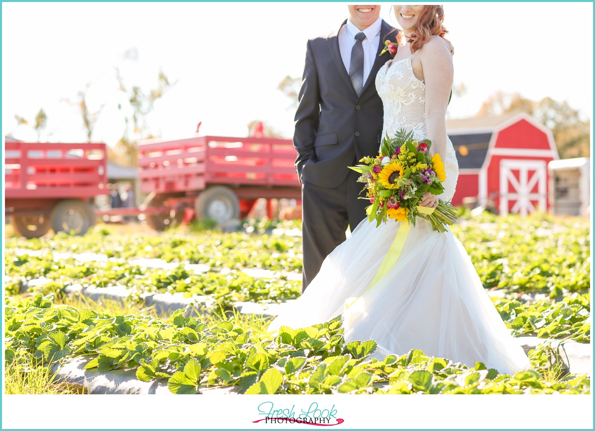 Chesapeake Farm Wedding Ideas