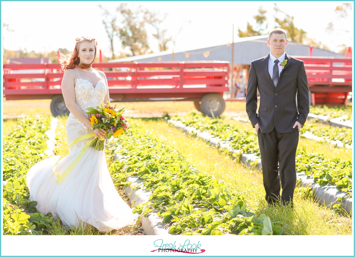 Virginia Farm Wedding Inspiration