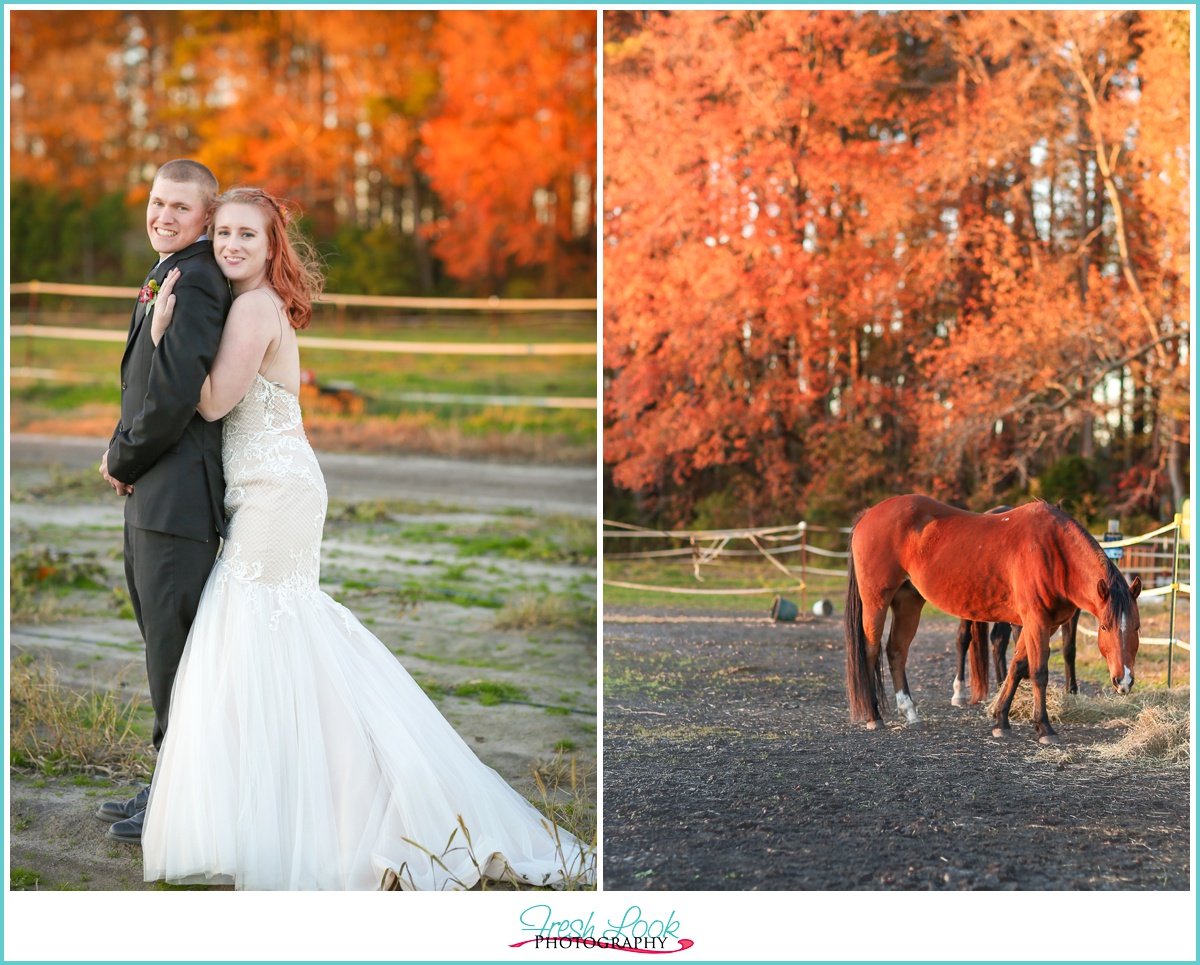 wedding day on a horse farm
