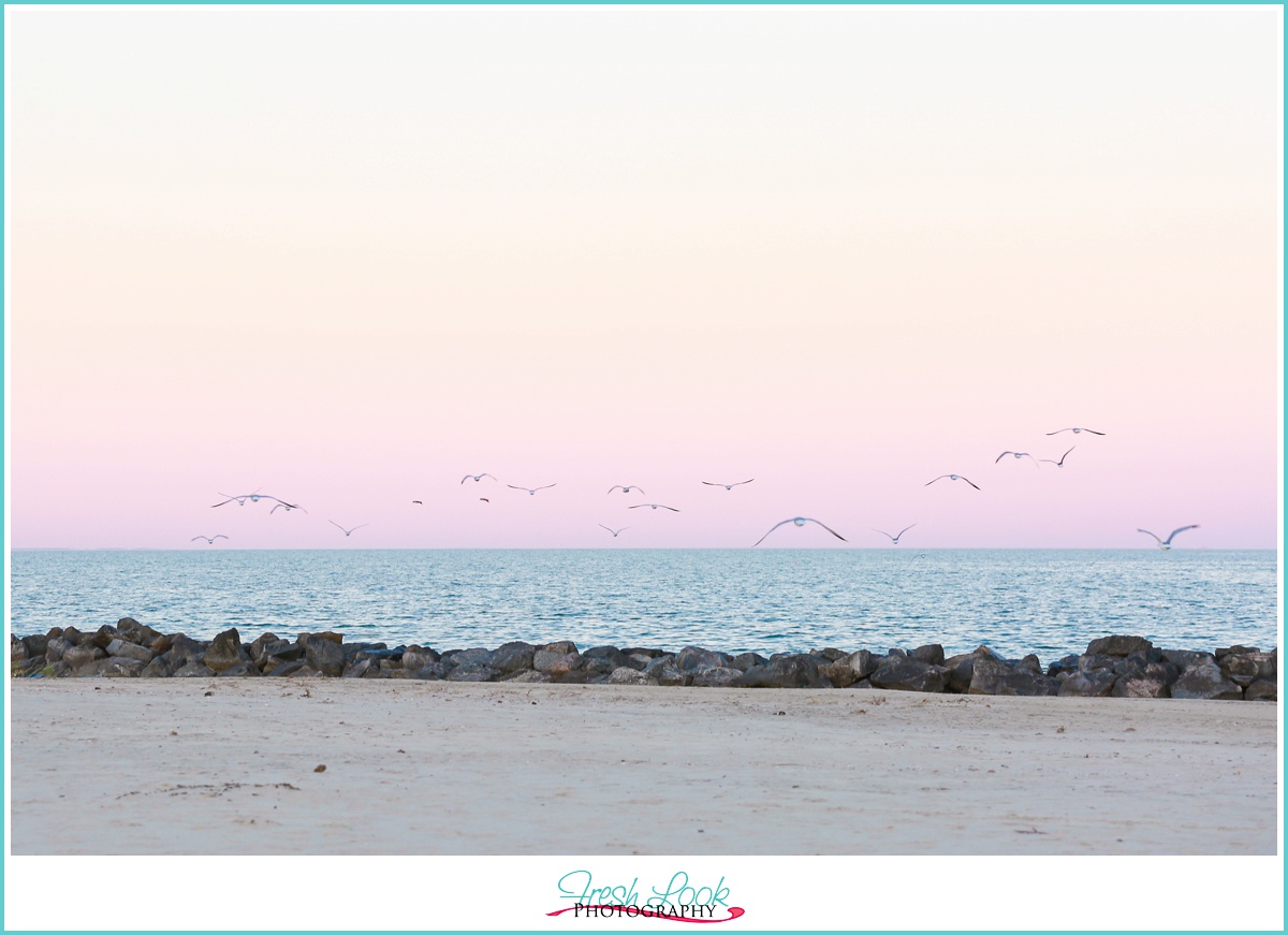 sunset with seagulls at Buckroe Beach