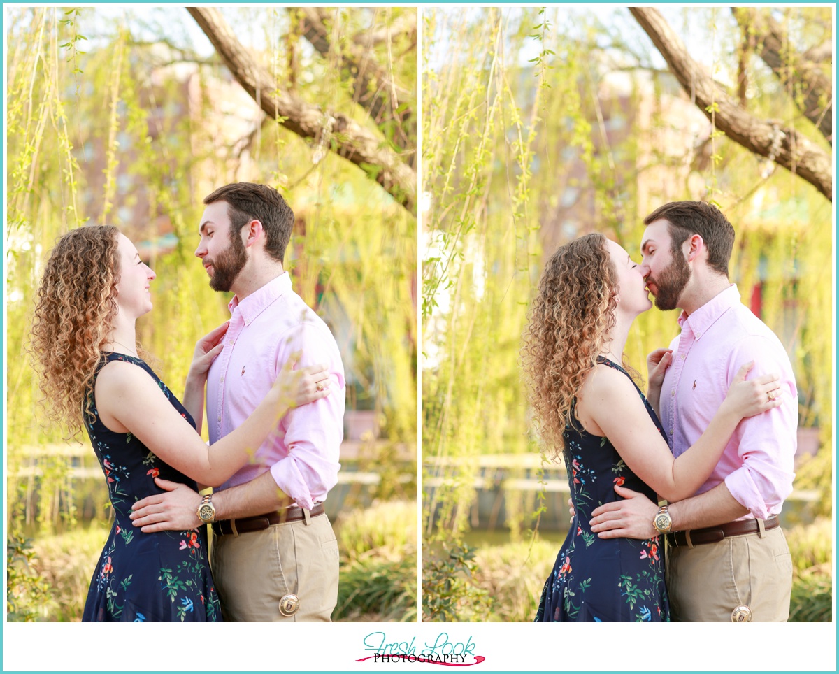 Love Under the Willow Tree