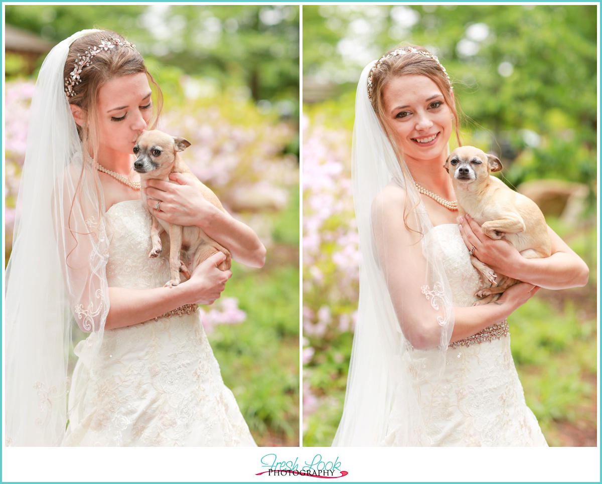 bridal portraits with the puppy