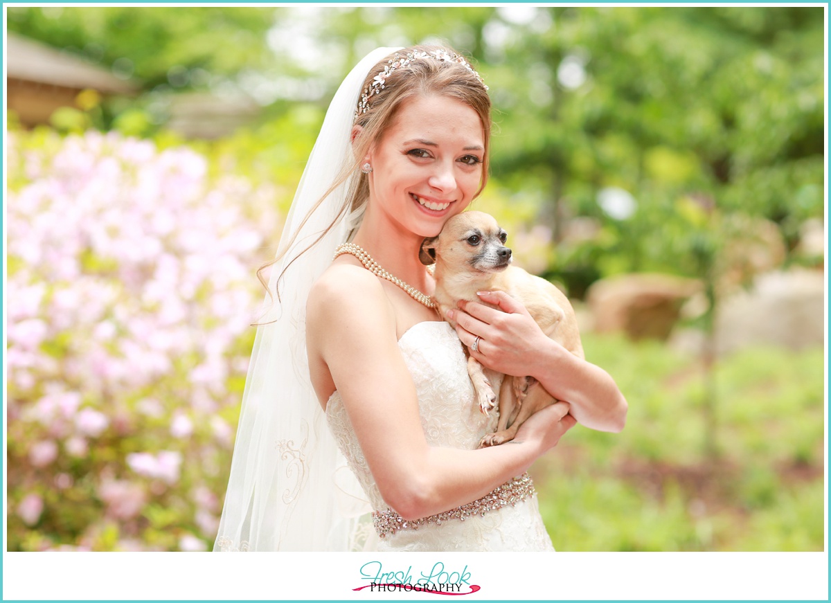 wedding pictures with the dog