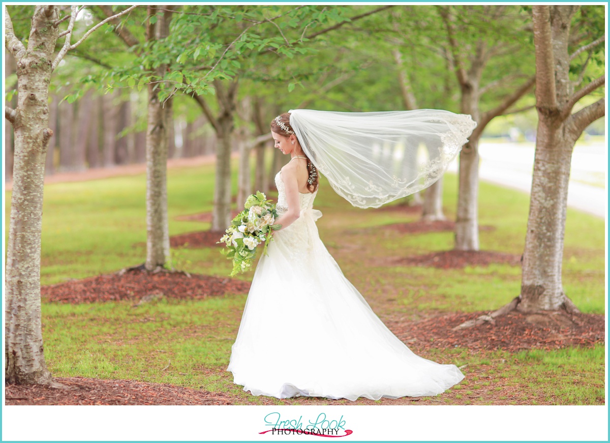 romantic veil blowing bridal picture