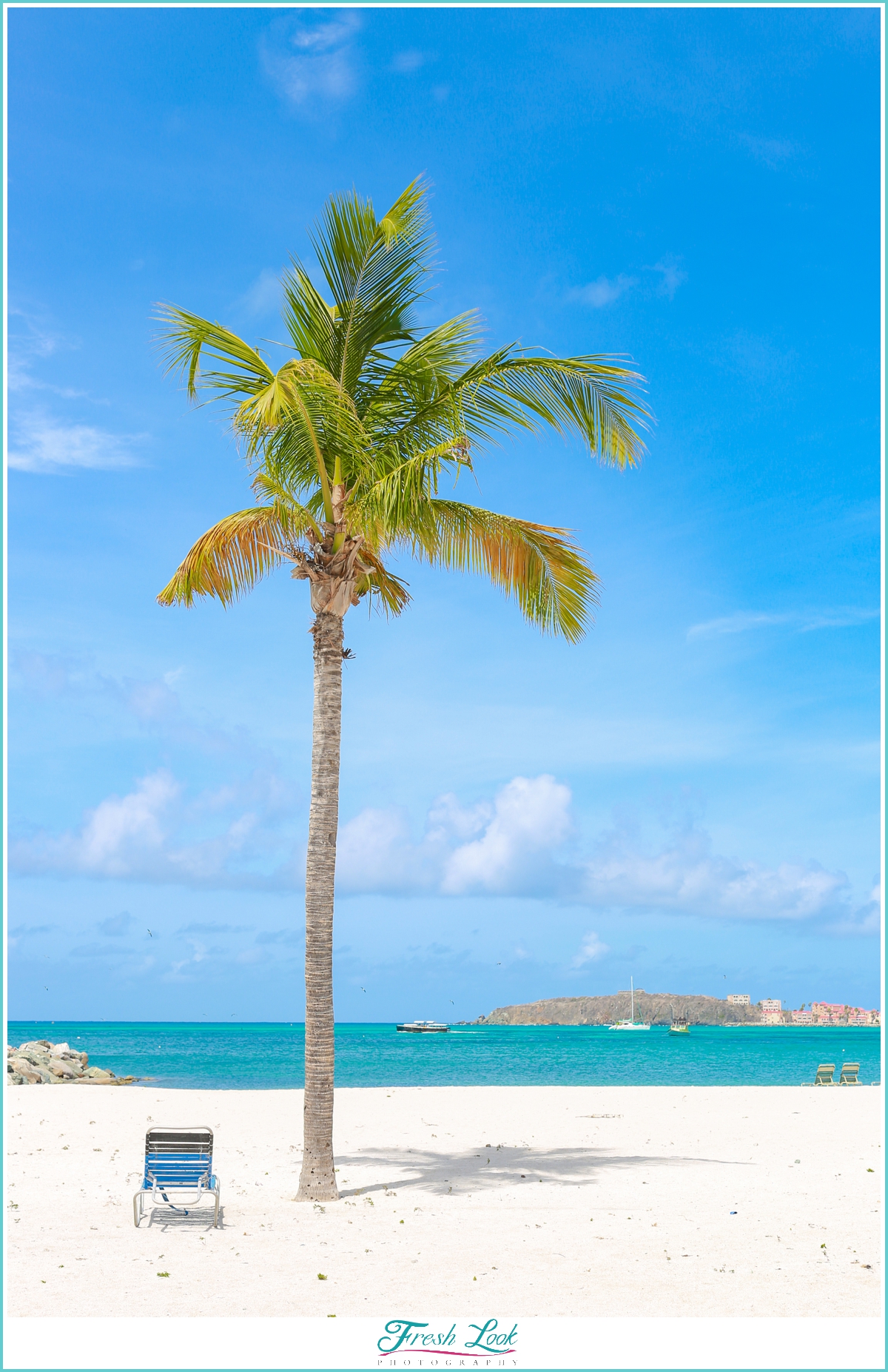 tropical palm tree vacation destination