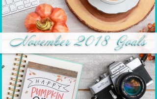 November 2018 Goals