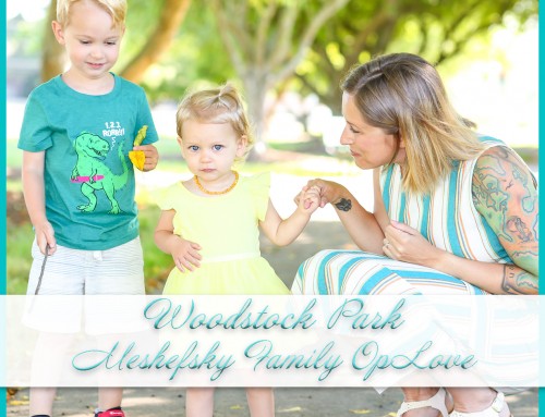 Woodstock Park Spring Photos | Meshefsky