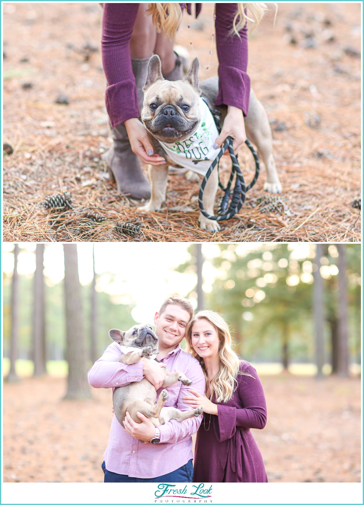 Engagement Photos with the dog