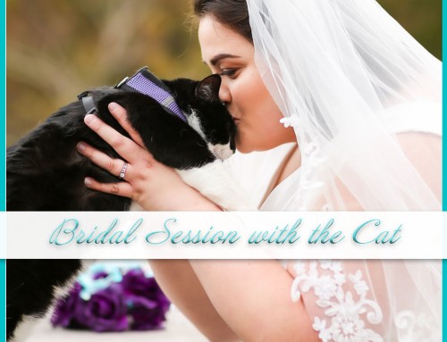 Purrfect Bridal Session with Cat | Regent University