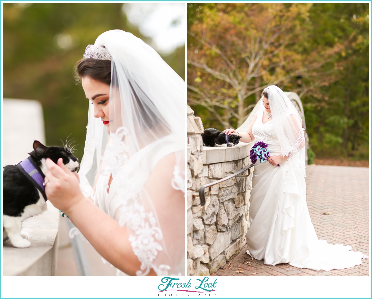 bride loving her cat in wedding dress