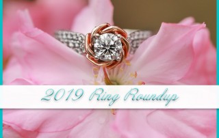 2019 Ring Roundup